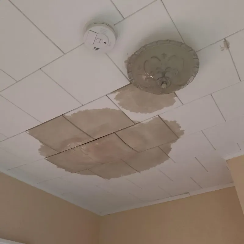 Ceiling Water Damage Repair in Rome, IL