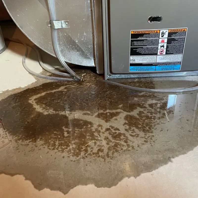 Pipe Burst and Leak Restoration in Rome, IL