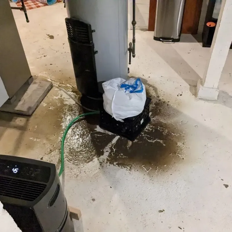 Sewage Backup Cleanup Service in Rome, IL
